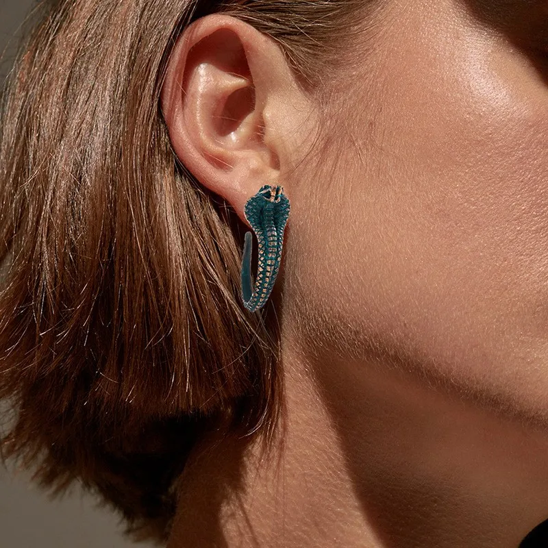 European and American Personality Exaggeration Punk Style Jewelry Zodiac Snake Shaped Earrings Fashion Trend Earrings
European and American Personality Exaggeration Punk Style Jewelry Zodiac Snake Shaped Earrings Fashion Trend Earrings