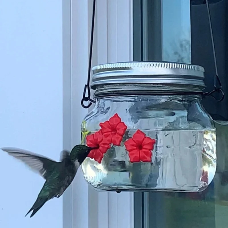 2023 New Hunging Hummingbird Feeder Mason Bottle Bird Feeder for Garden Outdoor Bird Drinker Birds Supplies Can Bird Feeder
2023 New Hunging Hummingbird Feeder Mason Bottle Bird Feeder for Garden Outdoor Bird Drinker Birds Supplies Can Bird Feeder