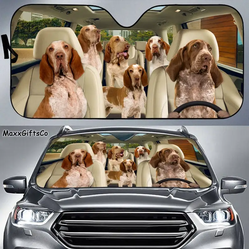 Bracco Italia Car Sun Shade, Dogs Windshield, Family Dogs Auto Sunshade, Dogs Car Accessories, Irish Terrier Lovers Gifts 
Bracco Italia Car Sun Shade, Dogs Windshield, Family Dogs Auto Sunshade, Dogs Car Accessories, Irish Terrier Lovers Gifts