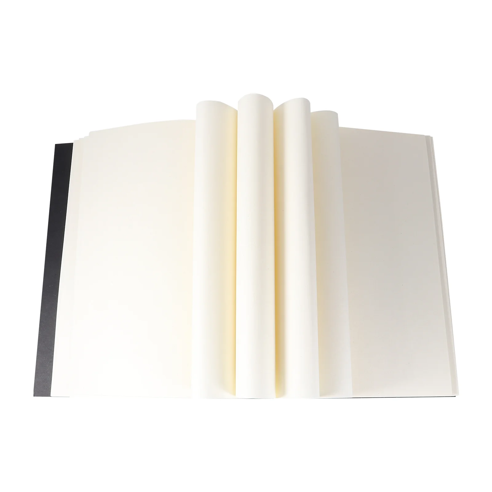 Sketchbook Book Sketch Notebook Pad Paper Tracing Drawing Painting Planner Schedule Sketching Diary Daily Hardbound Blank Spiral
Sketchbook Book Sketch Notebook Pad Paper Tracing Drawing Painting Planner Schedule Sketching Diary Daily Hardbound Blank Spiral