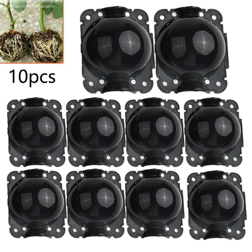 10 PCS Plant Rooting Equipment Kit Propagation Ball Graft Box Breeding Equipment High Pressure Reusable Garden Graft Box
10 PCS Plant Rooting Equipment Kit Propagation Ball Graft Box Breeding Equipment High Pressure Reusable Garden Graft Box