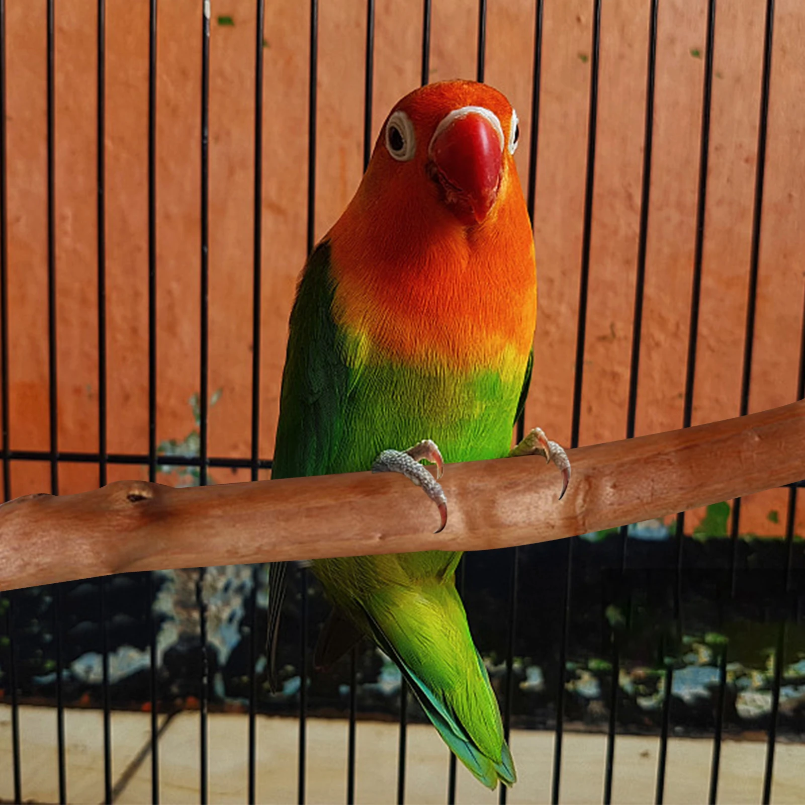 4pcs Natural Wood Bird Perches Parrot Stand Set Cockatiel Perch Bird Toys For Parakeets Finches Macaws Budgies Bird Standing
4pcs Natural Wood Bird Perches Parrot Stand Set Cockatiel Perch Bird Toys For Parakeets Finches Macaws Budgies Bird Standing