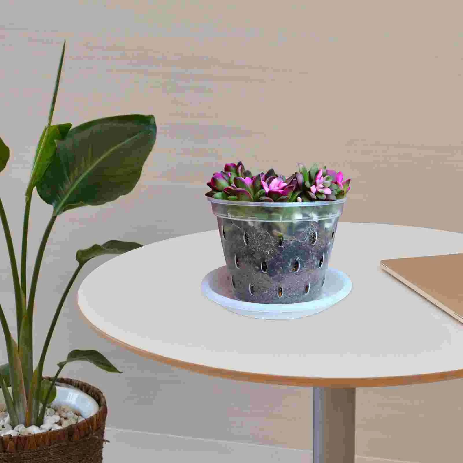 3 Sets Pots Indoor Pots Orchid Flower Pot Nursery Net Pots 
3 Sets Pots Indoor Pots Orchid Flower Pot Nursery Net Pots
