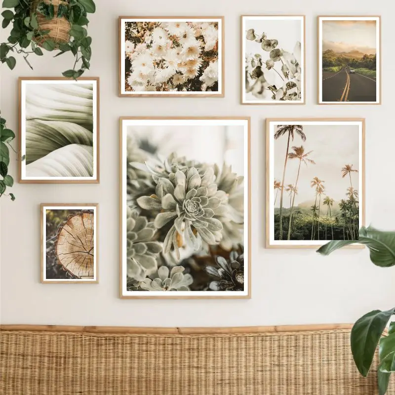 Набор для рисования по номерам на холсте «растительный зеленый суккулент»
Набор для рисования по номерам на холсте «растительный зеленый суккулент»