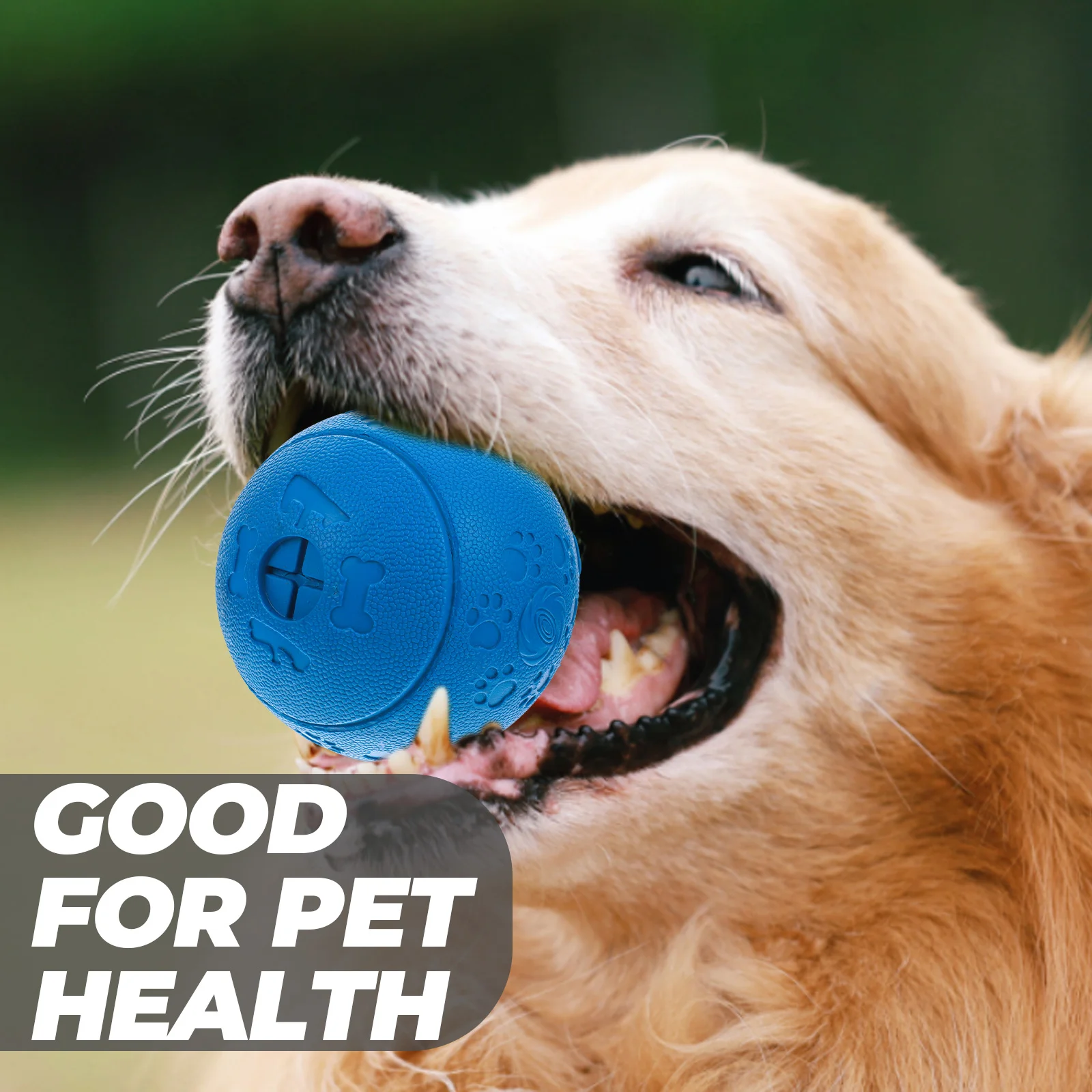 Chewing Toys Dogs Dog Toy Boredom Stimulating Dogman Toys Dog Interactive Toys Chew Toys Small Dogs Pet Toy Various Dog Chew Toy
Chewing Toys Dogs Dog Toy Boredom Stimulating Dogman Toys Dog Interactive Toys Chew Toys Small Dogs Pet Toy Various Dog Chew Toy