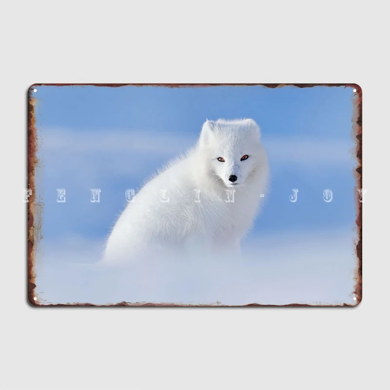 White Polar Fox In Habitat Metal Sign Plaques Bar Cave Club Home Personalized Tin Sign Poster
White Polar Fox In Habitat Metal Sign Plaques Bar Cave Club Home Personalized Tin Sign Poster
