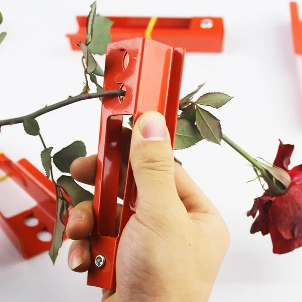 Useful Thorn Stripper Poratble Compact Tree Pruner Rose Thorn Stem Leaf Stripper Cutting Tool Rose Trimmer
Useful Thorn Stripper Poratble Compact Tree Pruner Rose Thorn Stem Leaf Stripper Cutting Tool Rose Trimmer