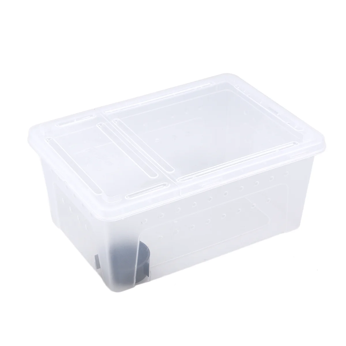 1pc Reptile Box Portable Durable Transparent Hatching Container Feeding Case Breeding Box for Scorpion
1pc Reptile Box Portable Durable Transparent Hatching Container Feeding Case Breeding Box for Scorpion