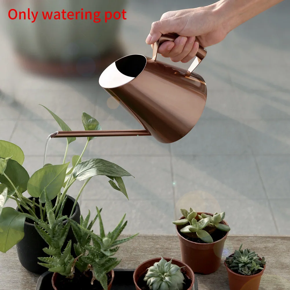 Large Capacity Sprinkling Irrigation Long Spout Retro Spraying Succulents Household Outdoor Garden Watering Can Indoor Plants
Large Capacity Sprinkling Irrigation Long Spout Retro Spraying Succulents Household Outdoor Garden Watering Can Indoor Plants