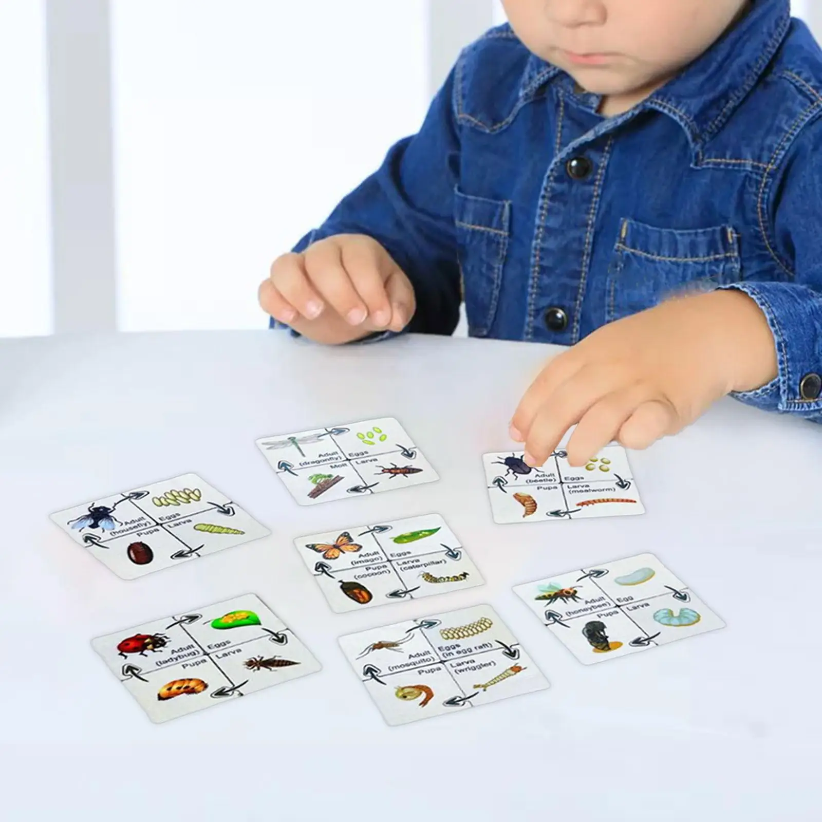 Growth Cycle Puzzle Set Gifts Early Childhood Education Multifunctional for Family Toddlers
Growth Cycle Puzzle Set Gifts Early Childhood Education Multifunctional for Family Toddlers
