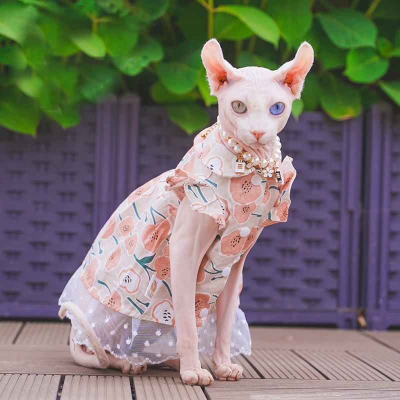 Luxury Lotus Pink Cat Skirt Costume Sphinx Cat Clothes Summer Floral Princess Lace Sleeves Dress For Devon Rex Cat Clothing
Luxury Lotus Pink Cat Skirt Costume Sphinx Cat Clothes Summer Floral Princess Lace Sleeves Dress For Devon Rex Cat Clothing