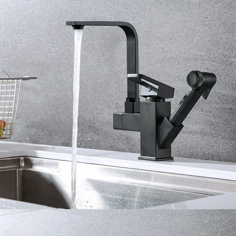 Black Kitchen Faucet Two Function Single Handle Pull Out Mixer Hot and Cold Water Taps with Spray Gun Deck Mounted Basin Faucet
Black Kitchen Faucet Two Function Single Handle Pull Out Mixer Hot and Cold Water Taps with Spray Gun Deck Mounted Basin Faucet