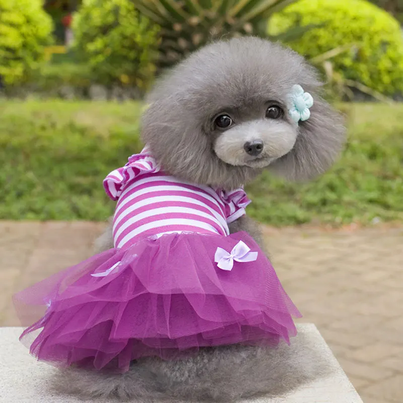 Summer Cute Pet Princess Dress Dogs Tutu Wedding Party Skirt Clothes for Small Pets Chihuahua Yorks Princess Style 2022 New
Summer Cute Pet Princess Dress Dogs Tutu Wedding Party Skirt Clothes for Small Pets Chihuahua Yorks Princess Style 2022 New
