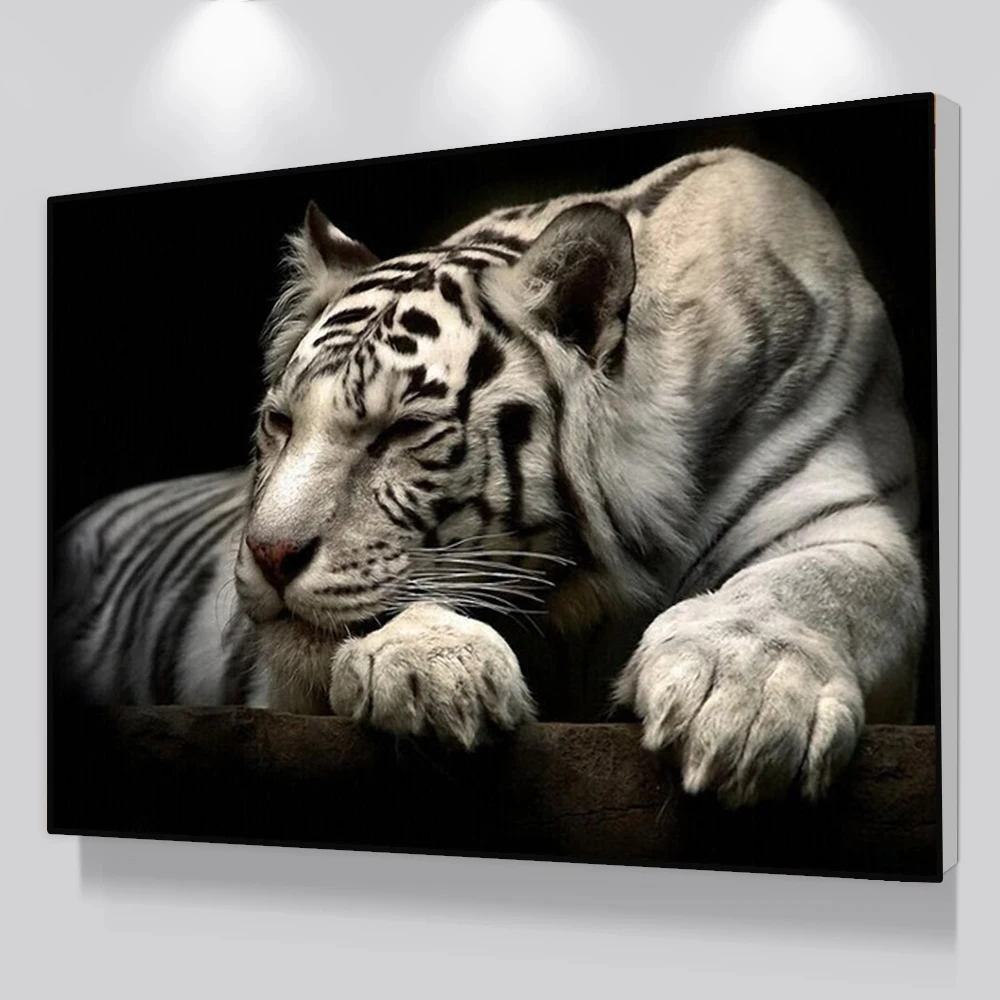 White Tiger Canvas Painting Modern Raptorial Animals Posters and Prints Wall Art Pictures for Living Room Home Decoration Mural
White Tiger Canvas Painting Modern Raptorial Animals Posters and Prints Wall Art Pictures for Living Room Home Decoration Mural