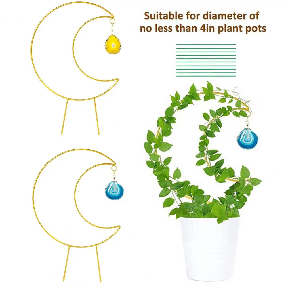 1 Set Useful Lightweight Plant Support Anti-deformed Balcony Flower Climber Holder Indoor Gardening Accessories Supportive
1 Set Useful Lightweight Plant Support Anti-deformed Balcony Flower Climber Holder Indoor Gardening Accessories Supportive