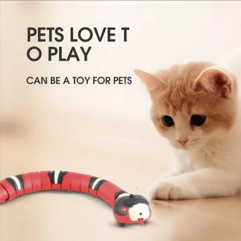 2023NEW Automatic Cat Toys Eletronic Snake Interactive Toys Smart Sensing Snake Tease Toys for Cats Dogs Pet Kitten Toys Pet Acc
2023NEW Automatic Cat Toys Eletronic Snake Interactive Toys Smart Sensing Snake Tease Toys for Cats Dogs Pet Kitten Toys Pet Acc