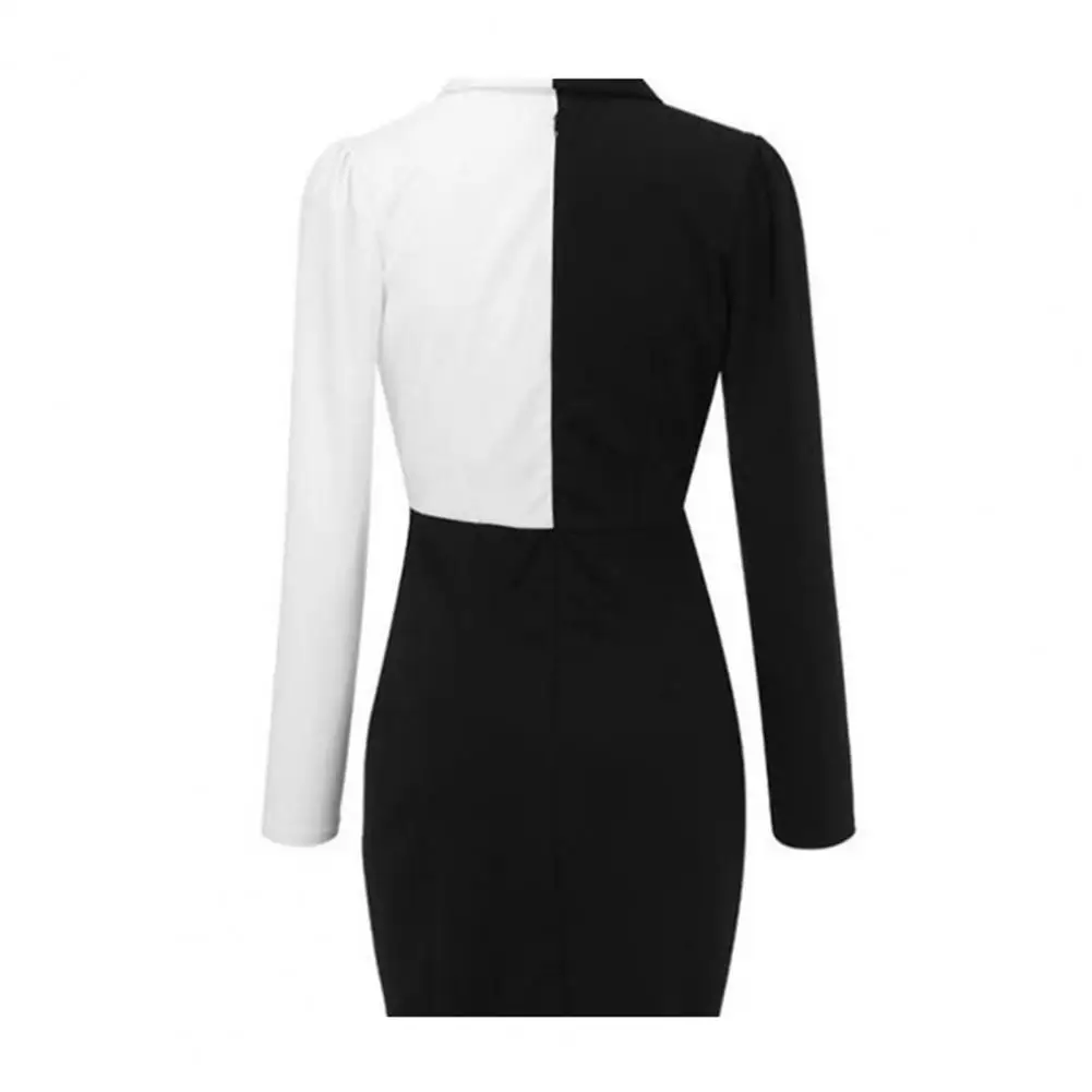 Sheath Dress Black and White Formal OL Style Patchwork Sheath Dress Women Suit Dress Women Clothes
Sheath Dress Black and White Formal OL Style Patchwork Sheath Dress Women Suit Dress Women Clothes