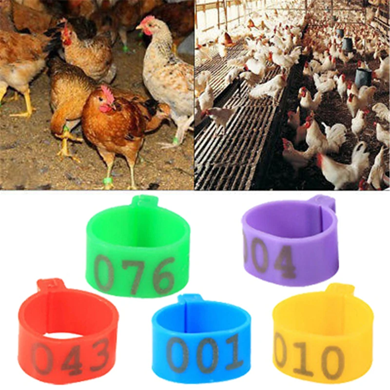 

100Pcs Chicken Leg Rings 1.6cm Numbered Poultry Leg Bands Clip-on Chicken Ankle Rings for Ducks Chicks Guinea Pigeons Goose