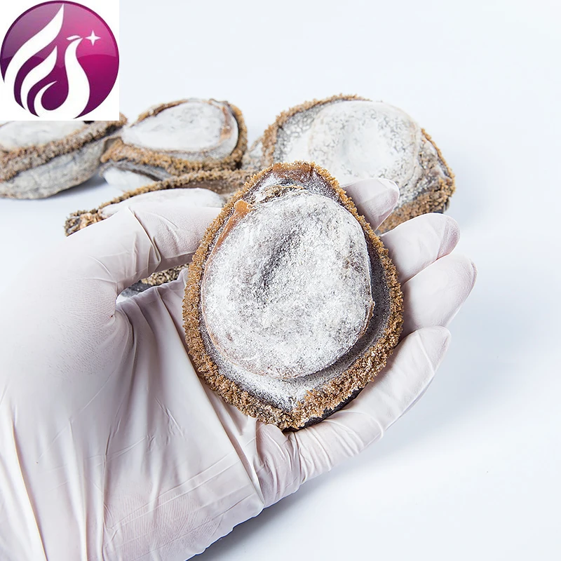 Selected 6 Heads of Dried Abalone From South Africa 500g, Dried Feet, Heart-wrenching, Fragrant, Deep-sea, Sea-fishing
Selected 6 Heads of Dried Abalone From South Africa 500g, Dried Feet, Heart-wrenching, Fragrant, Deep-sea, Sea-fishing