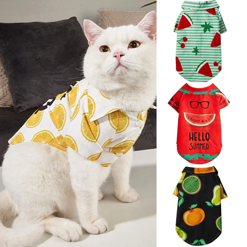 Pet Cat Clothes Kawaii Fruit Print Shirts For Small Dogs Cat Puppet Cat Puppy Costume Short Sleeve T-Shirt Dog Clothes
Pet Cat Clothes Kawaii Fruit Print Shirts For Small Dogs Cat Puppet Cat Puppy Costume Short Sleeve T-Shirt Dog Clothes
