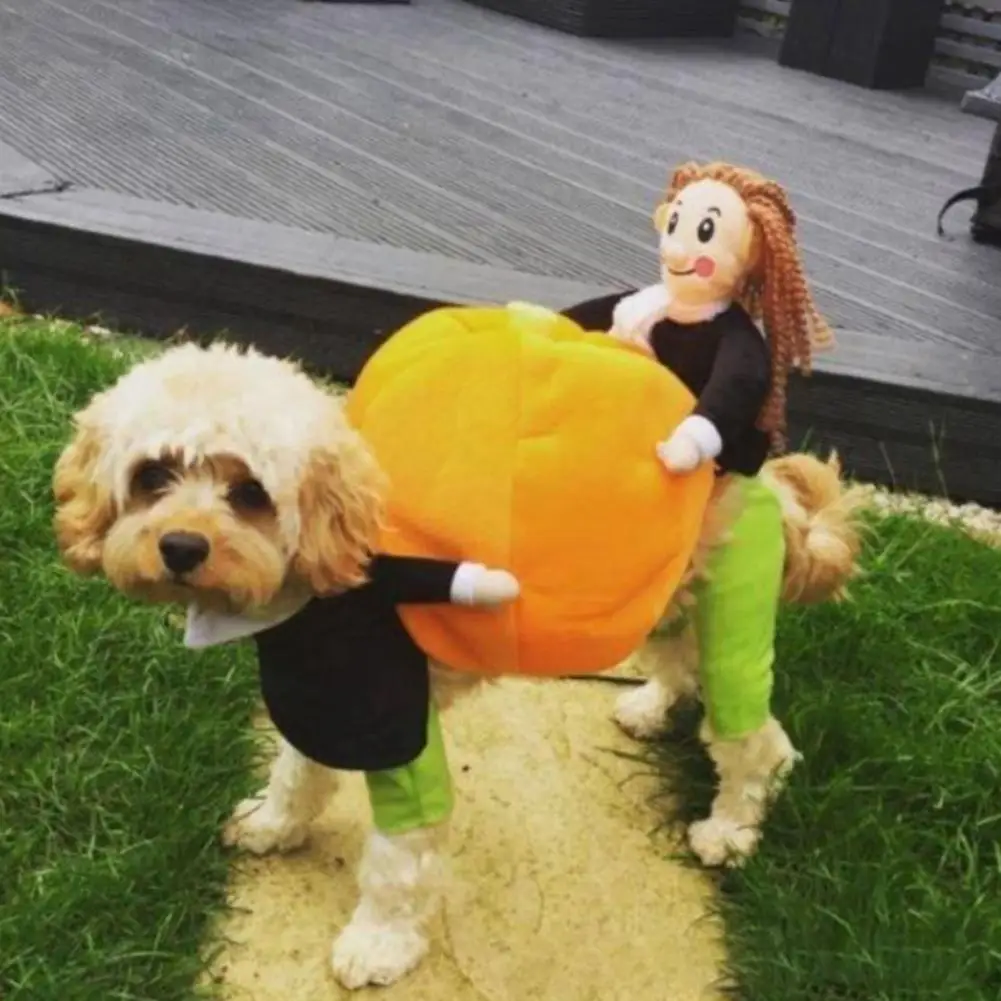 Pet Outfit Cosplay Cute High Elasticity Comfortable Adorable Improve Ambience Dress-up Funny Halloween Pet Dog Products Costumes
Pet Outfit Cosplay Cute High Elasticity Comfortable Adorable Improve Ambience Dress-up Funny Halloween Pet Dog Products Costumes
