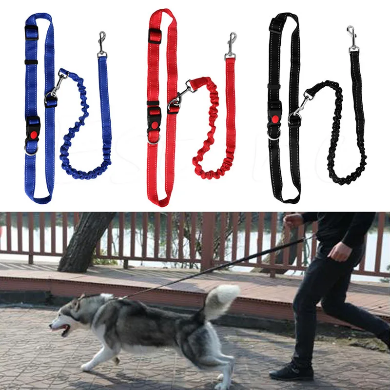 Elastic Running Pet Leash Multifunctional Explosion-proof Punch Outdoor Sports Dog Walking Special Dog Leash Dog Harness Leashes
Elastic Running Pet Leash Multifunctional Explosion-proof Punch Outdoor Sports Dog Walking Special Dog Leash Dog Harness Leashes