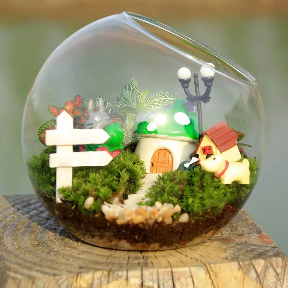 Hydroponic Plant Glass Vase Borosilicate Glass Bottle Succulent Plant Terrarium Container Flower Pots Home Wedding Decor
Hydroponic Plant Glass Vase Borosilicate Glass Bottle Succulent Plant Terrarium Container Flower Pots Home Wedding Decor