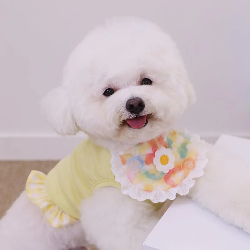 Fashionable Cute Dog Plaid Lace Bib Pet Saliva Towel Teddy Bomei Bib Cat Triangle Scarf Pet Accessories
Fashionable Cute Dog Plaid Lace Bib Pet Saliva Towel Teddy Bomei Bib Cat Triangle Scarf Pet Accessories