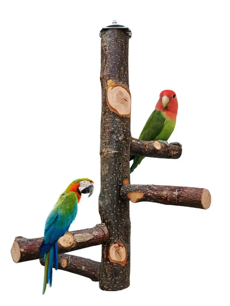 Pet Parrot Raw Wood Fork Tree Branch Stand Rack Toy Parrot Perches For Bird Cage Wooden Bird Stand Perch Stick Pole Bird Cage
Pet Parrot Raw Wood Fork Tree Branch Stand Rack Toy Parrot Perches For Bird Cage Wooden Bird Stand Perch Stick Pole Bird Cage