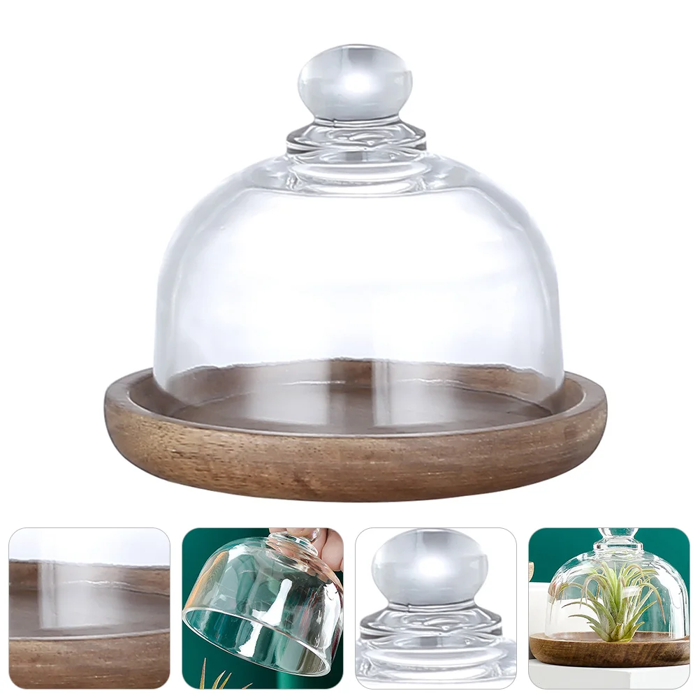 Cakecover Plate Dome Tray Glass Lid Stand Dessertserving Round Holder Wood Ceramiccovers Wooden Table Clear Mini Dish Small
Cakecover Plate Dome Tray Glass Lid Stand Dessertserving Round Holder Wood Ceramiccovers Wooden Table Clear Mini Dish Small