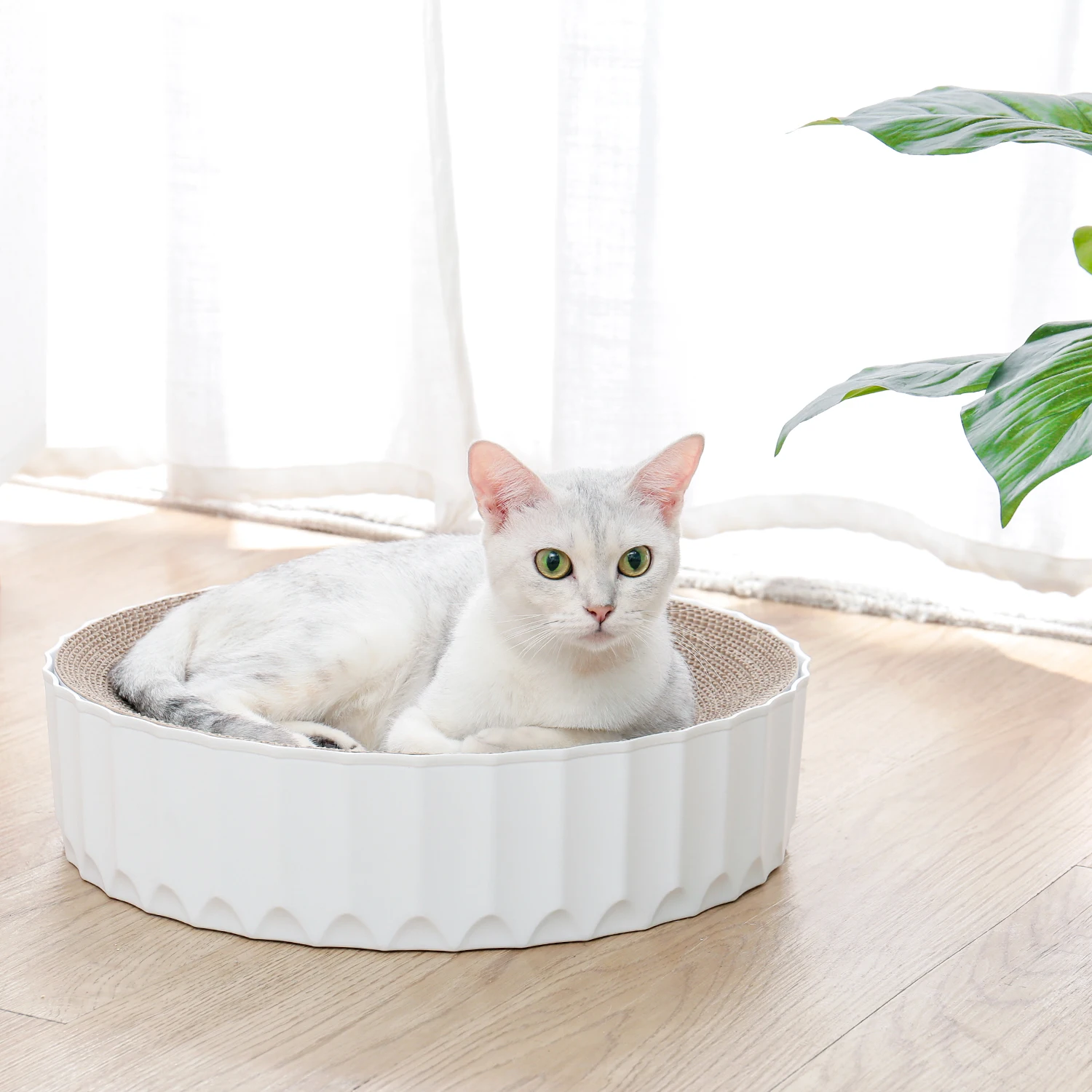 Кошачья гофрированная Когтеточка для домашних животных, кошачья Когтеточка, прочная реверсивная сменная Нескользящая круглая кошачья гоф...
Кошачья гофрированная Когтеточка для домашних животных, кошачья Когтеточка, прочная реверсивная сменная Нескользящая круглая кошачья гоф...