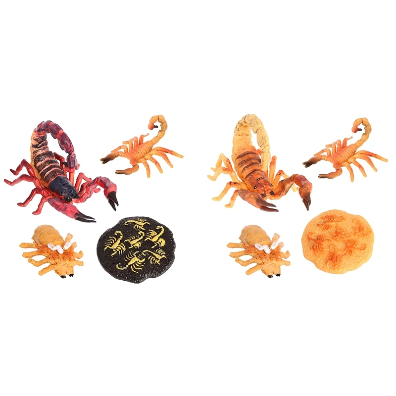 Simulation Animals Scorpion Growth Cycle 4 Separate Pieces Growth Cycle Model Figure Science Educational Toys
Simulation Animals Scorpion Growth Cycle 4 Separate Pieces Growth Cycle Model Figure Science Educational Toys