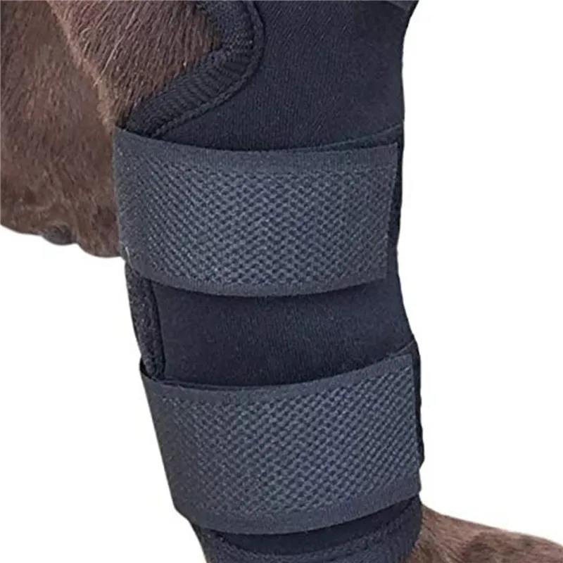 1PCS Pet Protectors Dog Support Brace For Leg Protectors Instep Leg Protectors Thai Boxing Pet Leg Protectors New
1PCS Pet Protectors Dog Support Brace For Leg Protectors Instep Leg Protectors Thai Boxing Pet Leg Protectors New