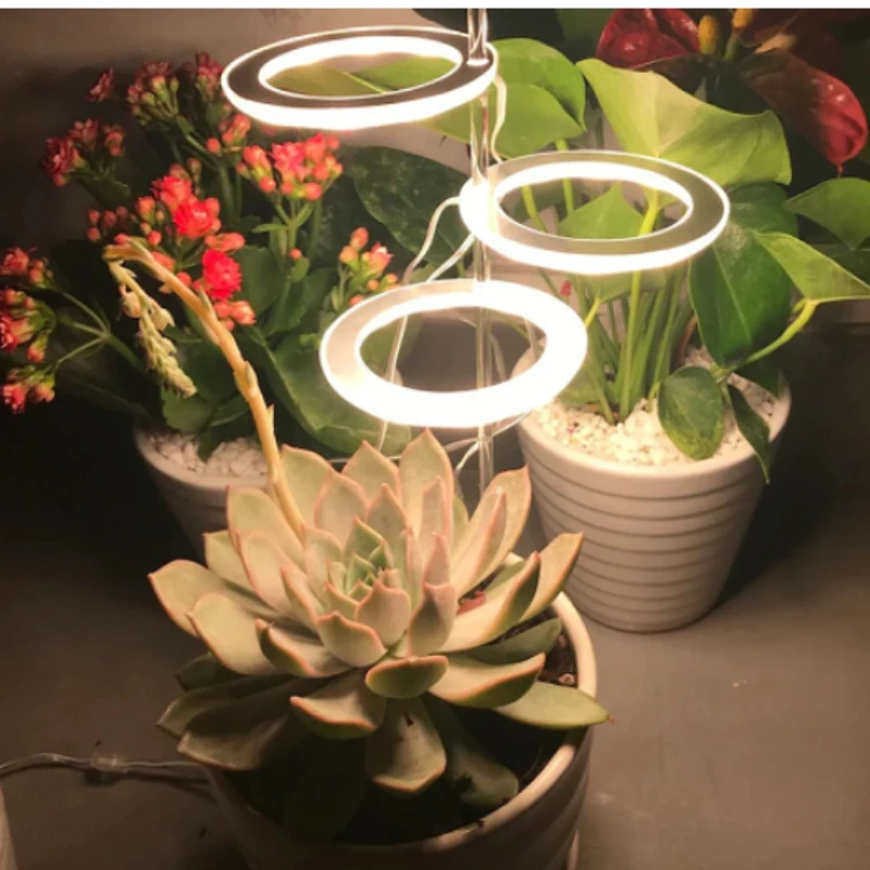 Angel Three Ring Grow Light DC5V USB Phytolamp for Plants Led Full Spectrum Lamp for Indoor Plant Seedlings Home Flower Succulet
Angel Three Ring Grow Light DC5V USB Phytolamp for Plants Led Full Spectrum Lamp for Indoor Plant Seedlings Home Flower Succulet
