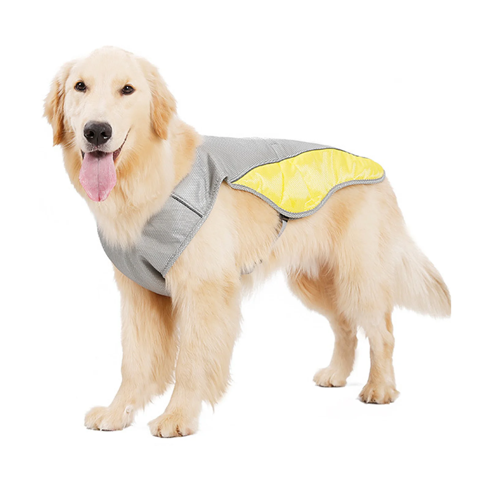 Охлаждающий Жилет для собак, воздухопроницаемая Регулируемая сетчатая Светоотражающая безрукавка, одежда для домашних питомцев, лето
Охлаждающий Жилет для собак, воздухопроницаемая Регулируемая сетчатая Светоотражающая безрукавка, одежда для домашних питомцев, лето