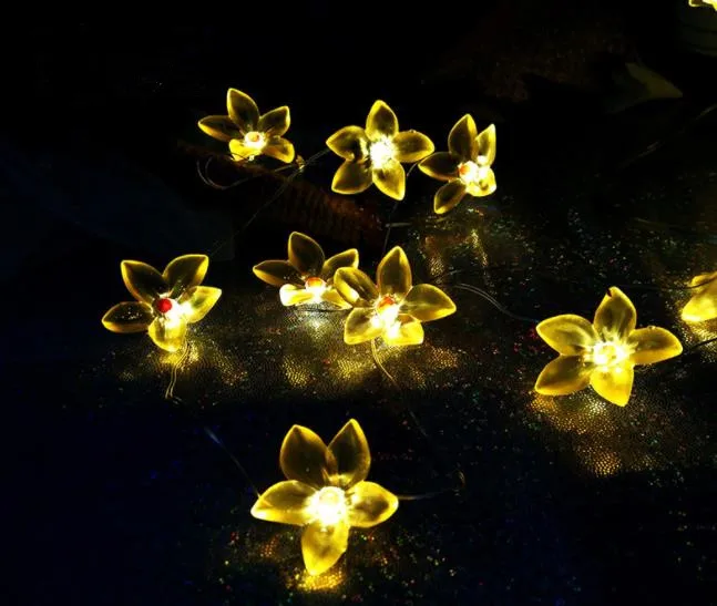LED lamp string Lily shaped led copper wire lamp string decorative color lamp string
LED lamp string Lily shaped led copper wire lamp string decorative color lamp string