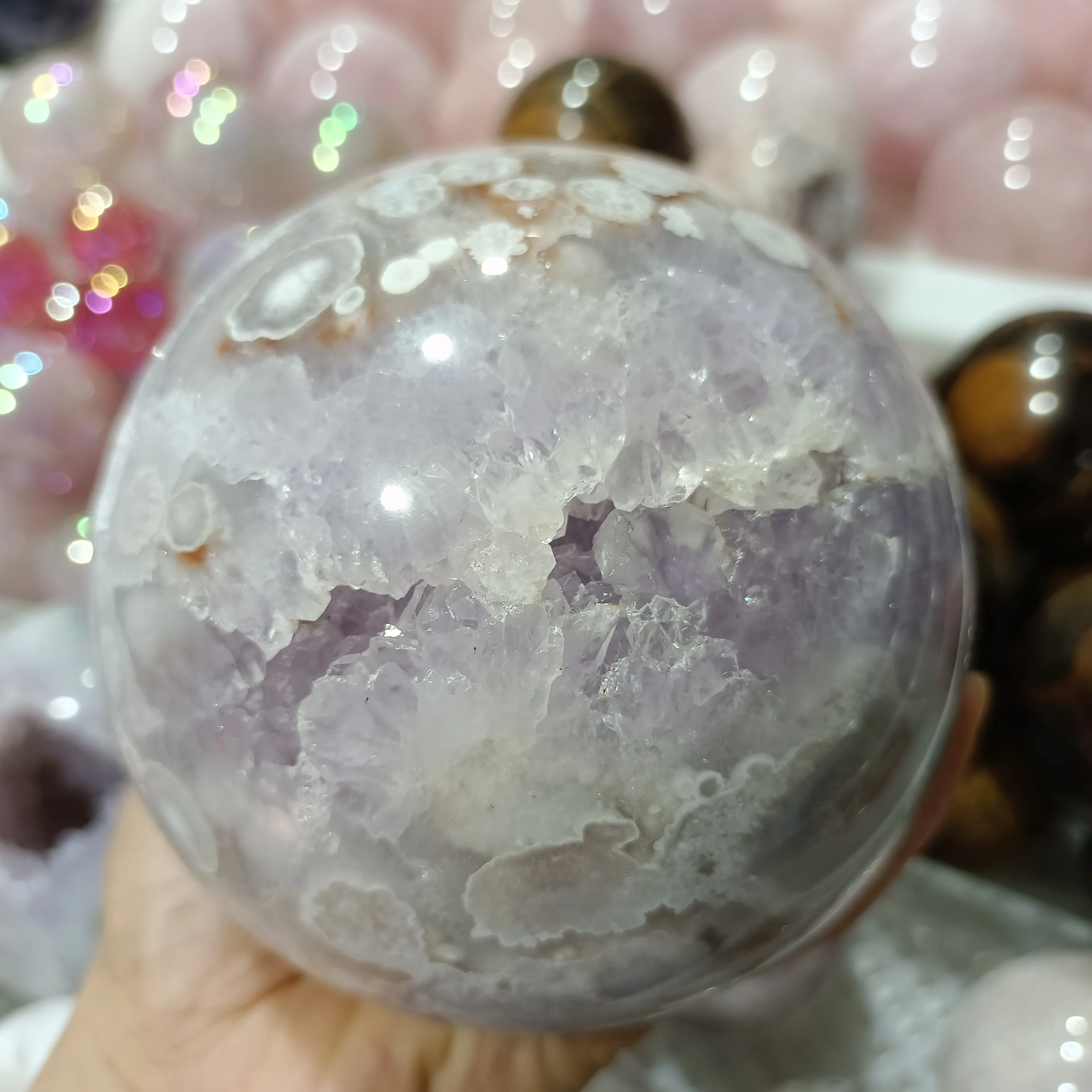 Rare Large Natural Lavender Powder Geode Ball Crystal Energy Home Office Decoration Craft Gift
Rare Large Natural Lavender Powder Geode Ball Crystal Energy Home Office Decoration Craft Gift