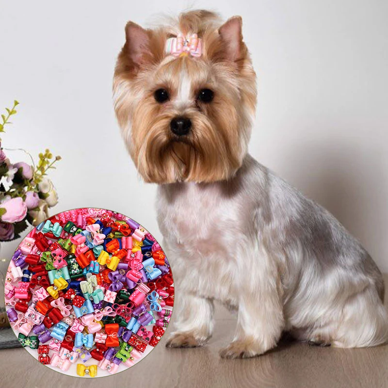 Dog Accessories Pet Flower Head Dog Bowknot Rubber Band Pet Rubber Band Beautiful Fashion Universal Color Mixing Cute Pet Bow
Dog Accessories Pet Flower Head Dog Bowknot Rubber Band Pet Rubber Band Beautiful Fashion Universal Color Mixing Cute Pet Bow