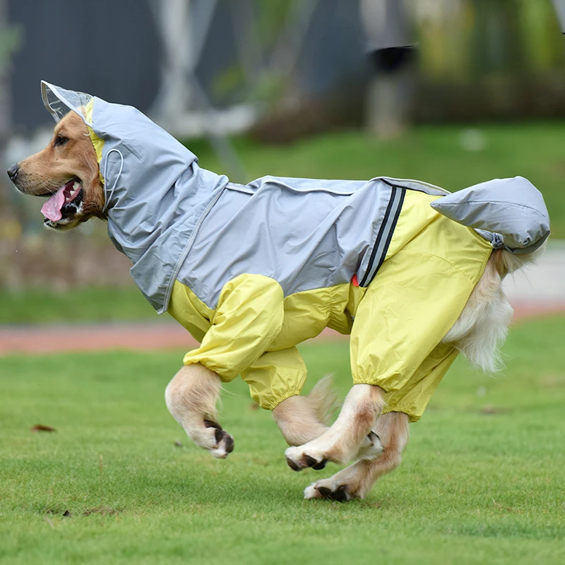 Large dog raincoat Golden fur Samoyed medium large dog pet dog tail all waterproof wrap belly poncho raincoat
Large dog raincoat Golden fur Samoyed medium large dog pet dog tail all waterproof wrap belly poncho raincoat