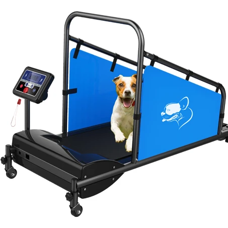 _ Беговая дорожка для домашних животных, товары для животных, беговая дорожка для щенков, оборудование для упражнений в помещении, фитнес-об...
_ Беговая дорожка для домашних животных, товары для животных, беговая дорожка для щенков, оборудование для упражнений в помещении, фитнес-об...