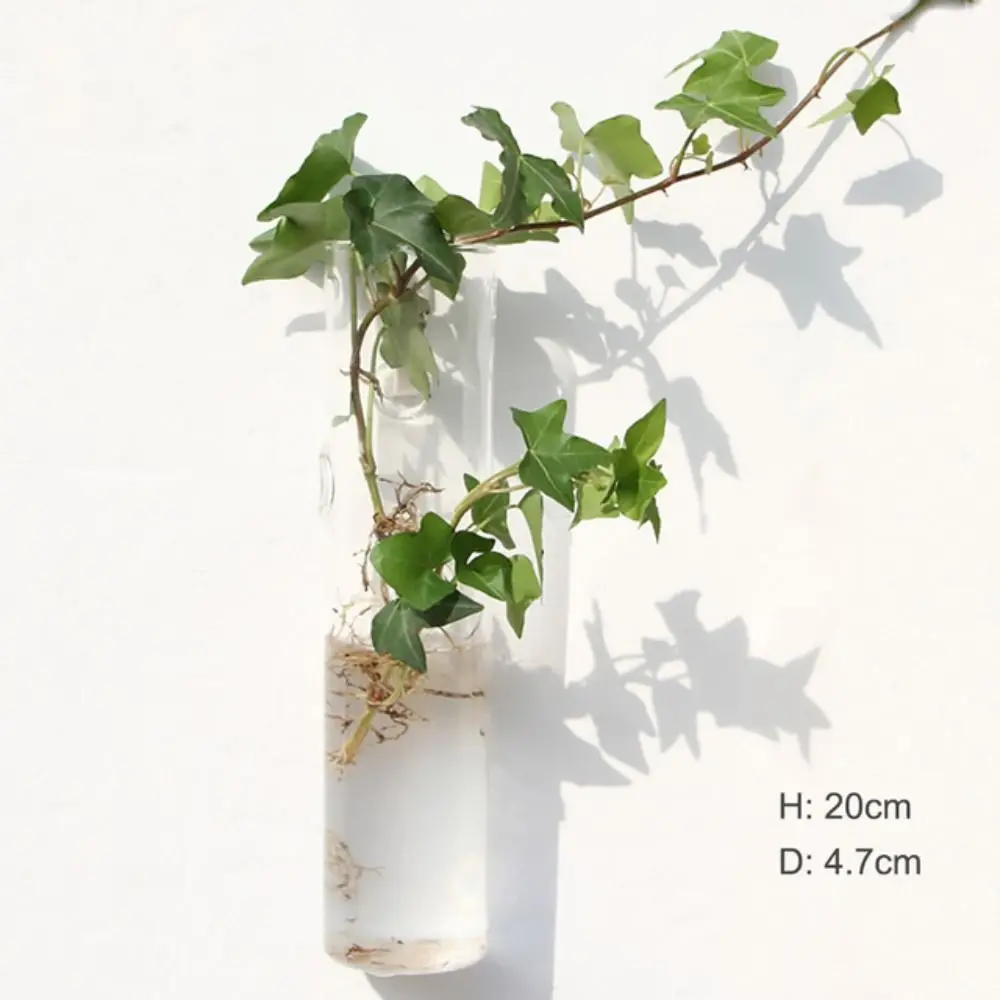 Прозрачная стеклянная ваза
Прозрачная стеклянная ваза