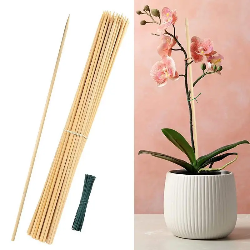 Bamboos Plant Sticks Flower Pot Holder Stake Plants Support Poles Garden Wooden Sticks Moss Stick Coir Diy Moss Palm Vines Stick
Bamboos Plant Sticks Flower Pot Holder Stake Plants Support Poles Garden Wooden Sticks Moss Stick Coir Diy Moss Palm Vines Stick
