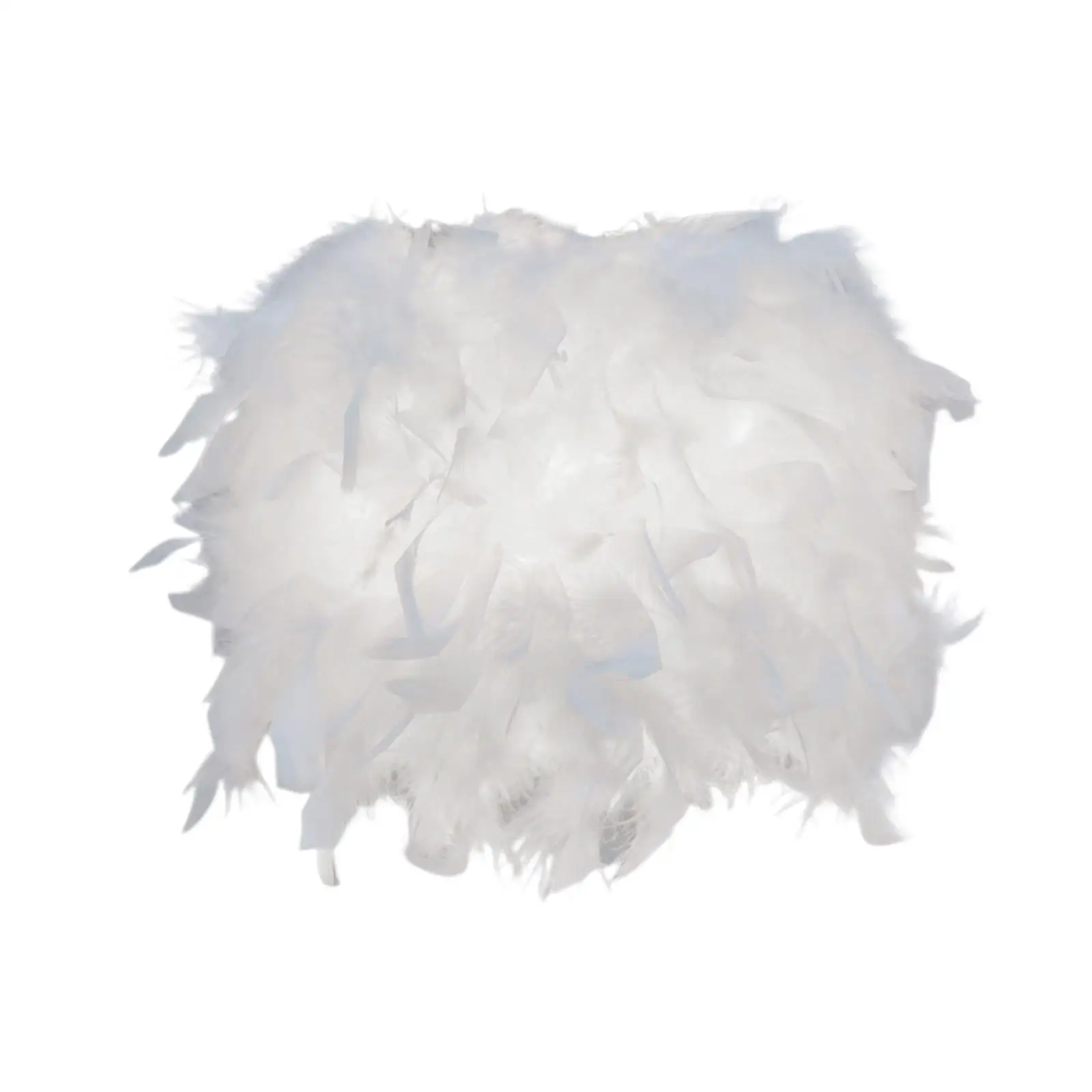 Feather Lampshade Home Lighting Fixture Lamp Fitting Decor for Floor Lights
Feather Lampshade Home Lighting Fixture Lamp Fitting Decor for Floor Lights
