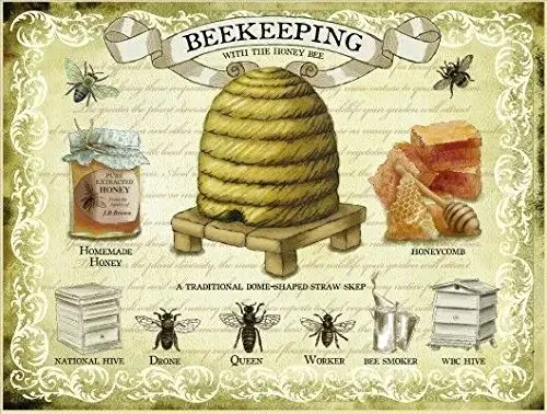 New Vintage Retro Metal Tin Sign Beekeeping Bee Outdoor Street Home Bar Club Kitchen Restaurant Wall Art Decor Plaque Signs
New Vintage Retro Metal Tin Sign Beekeeping Bee Outdoor Street Home Bar Club Kitchen Restaurant Wall Art Decor Plaque Signs