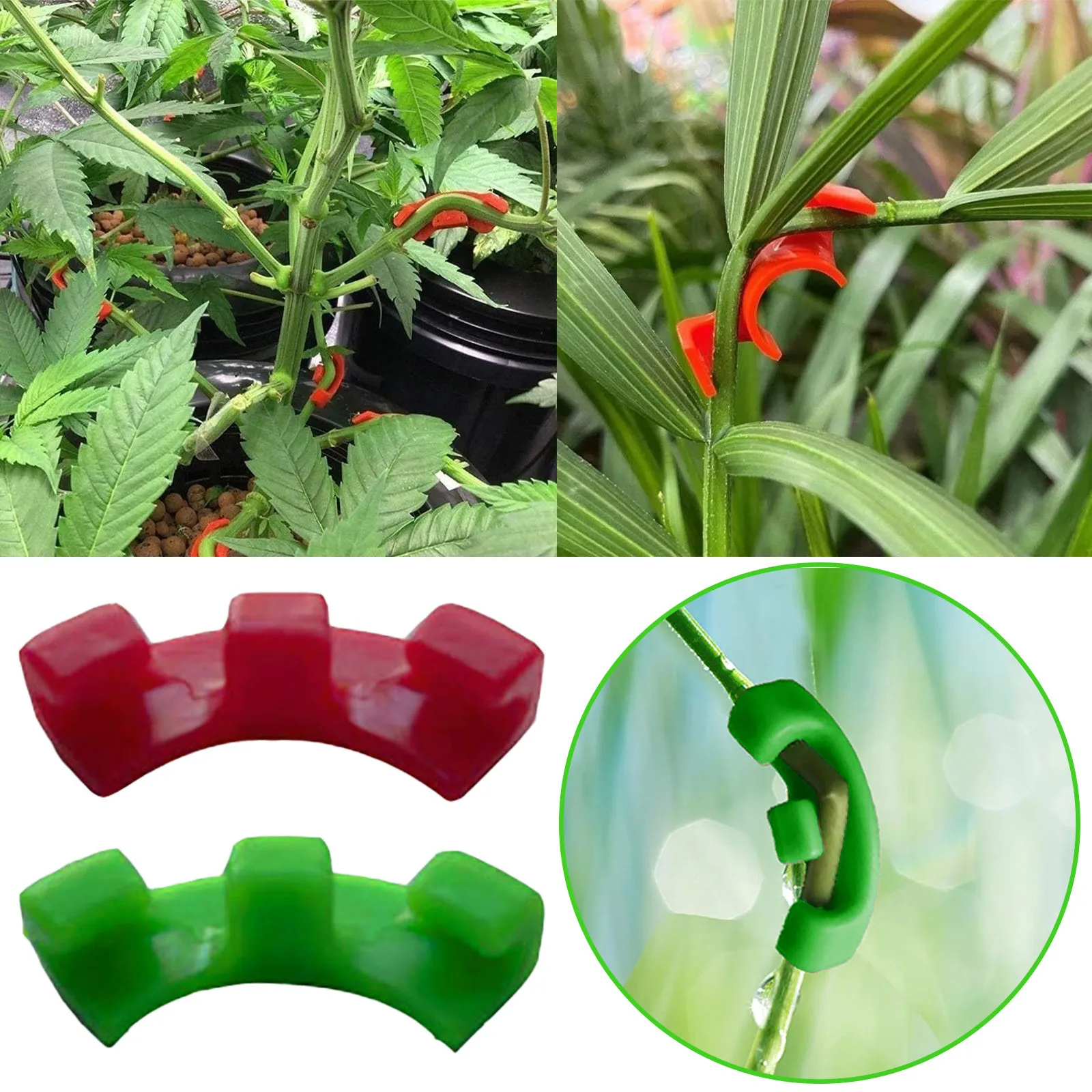 Plant Bender Plant Aid Plant Growth Direction Regulator Plant Growth Aid Sprout Clips
Plant Bender Plant Aid Plant Growth Direction Regulator Plant Growth Aid Sprout Clips