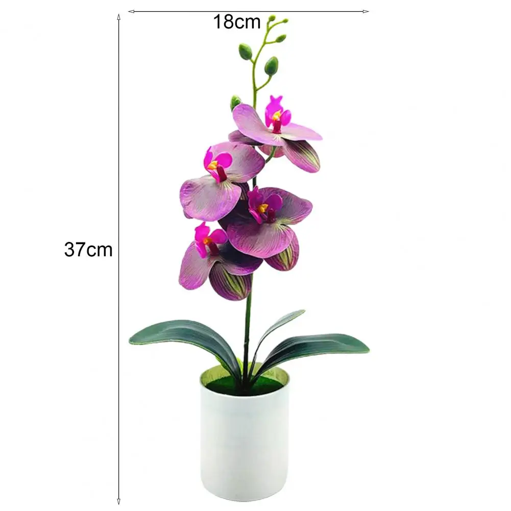 Fancy UV-resistant Wedding Decorative Artificial Orchid Flower with Pot Delicate PVC Simulation Bonsai for Balcony
Fancy UV-resistant Wedding Decorative Artificial Orchid Flower with Pot Delicate PVC Simulation Bonsai for Balcony