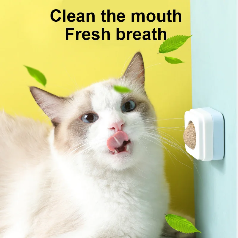 Catnip Wall Balls Pet Toy Rotation Cat Mint Ball Molars Cleaning Balls Fresh Breath Licking Snack Pet Supplies Cats Accessories
Catnip Wall Balls Pet Toy Rotation Cat Mint Ball Molars Cleaning Balls Fresh Breath Licking Snack Pet Supplies Cats Accessories