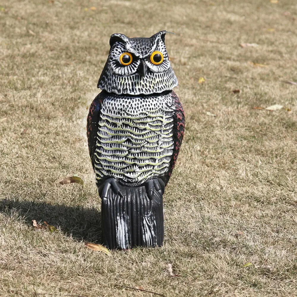 Realistic Bird Scarer Rotating Head Sound Rotating Mov Owl Prowler Decoy Protection Repellent Pest Control Scarecrow Garden Yard
Realistic Bird Scarer Rotating Head Sound Rotating Mov Owl Prowler Decoy Protection Repellent Pest Control Scarecrow Garden Yard