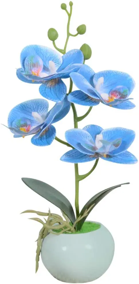 Artificial Bonsai Orchid Phalaenopsis Arrangements Flower with Ceramics Vase for Home Office Decoration (Blue)
Artificial Bonsai Orchid Phalaenopsis Arrangements Flower with Ceramics Vase for Home Office Decoration (Blue)