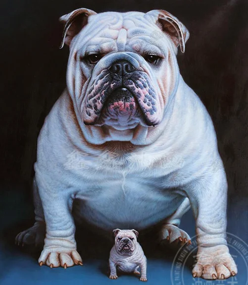 best Christmas Holiday gift #100% handpainted animal dog oil painting on canvas custom photo picture painting-good quality-$150
best Christmas Holiday gift #100% handpainted animal dog oil painting on canvas custom photo picture painting-good quality-$150